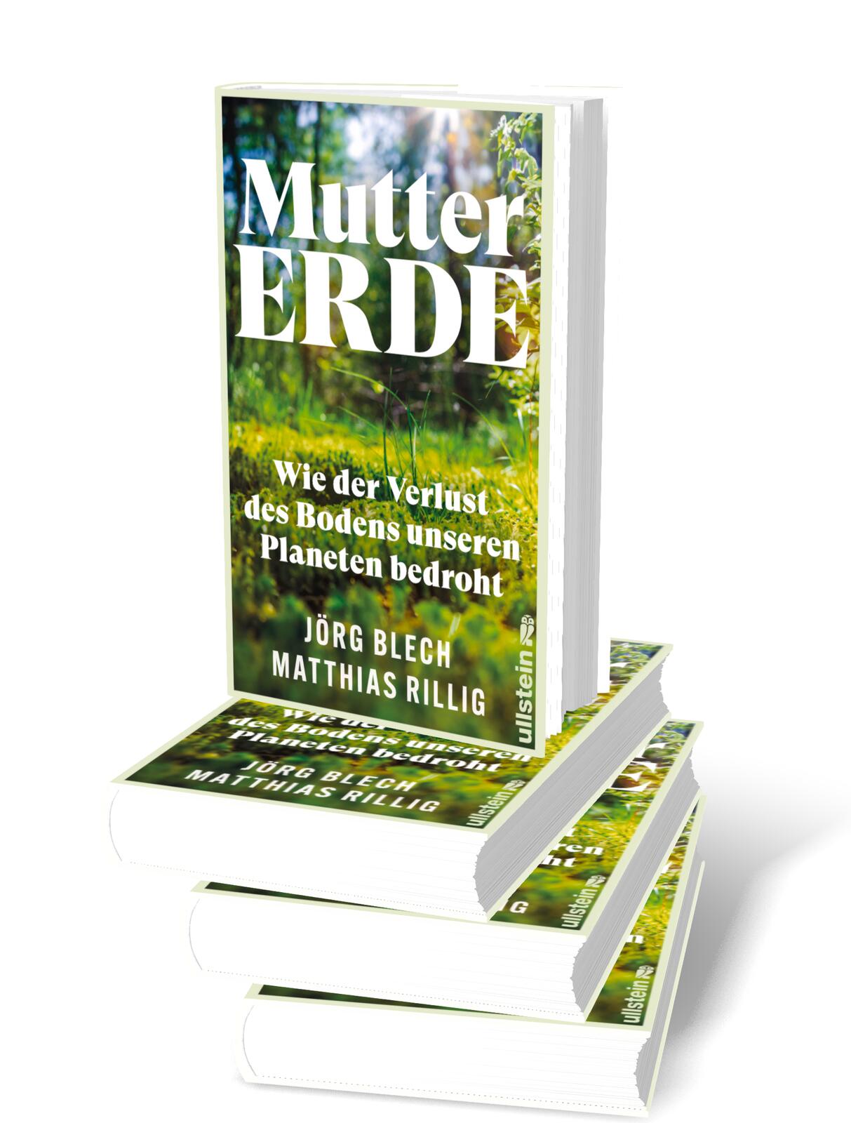 Beispielinhalt (Bild) Mutter Erde