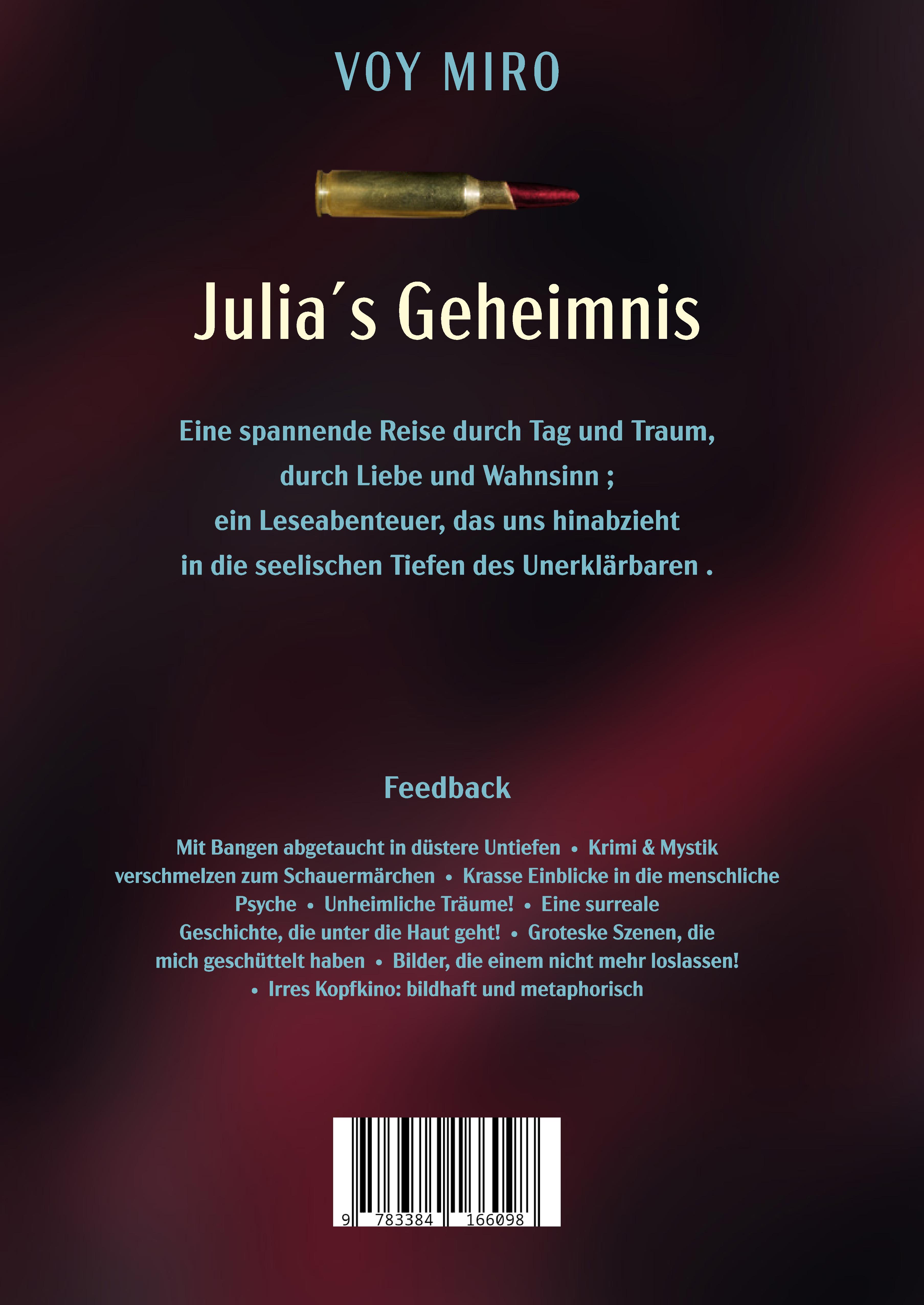 Rückseitencover Julia's Geheimnis