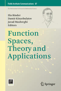 Vorderes Coverbild Function Spaces, Theory and Applications