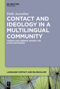 Vorderes Coverbild Contact and Ideology in a Multilingual Community
