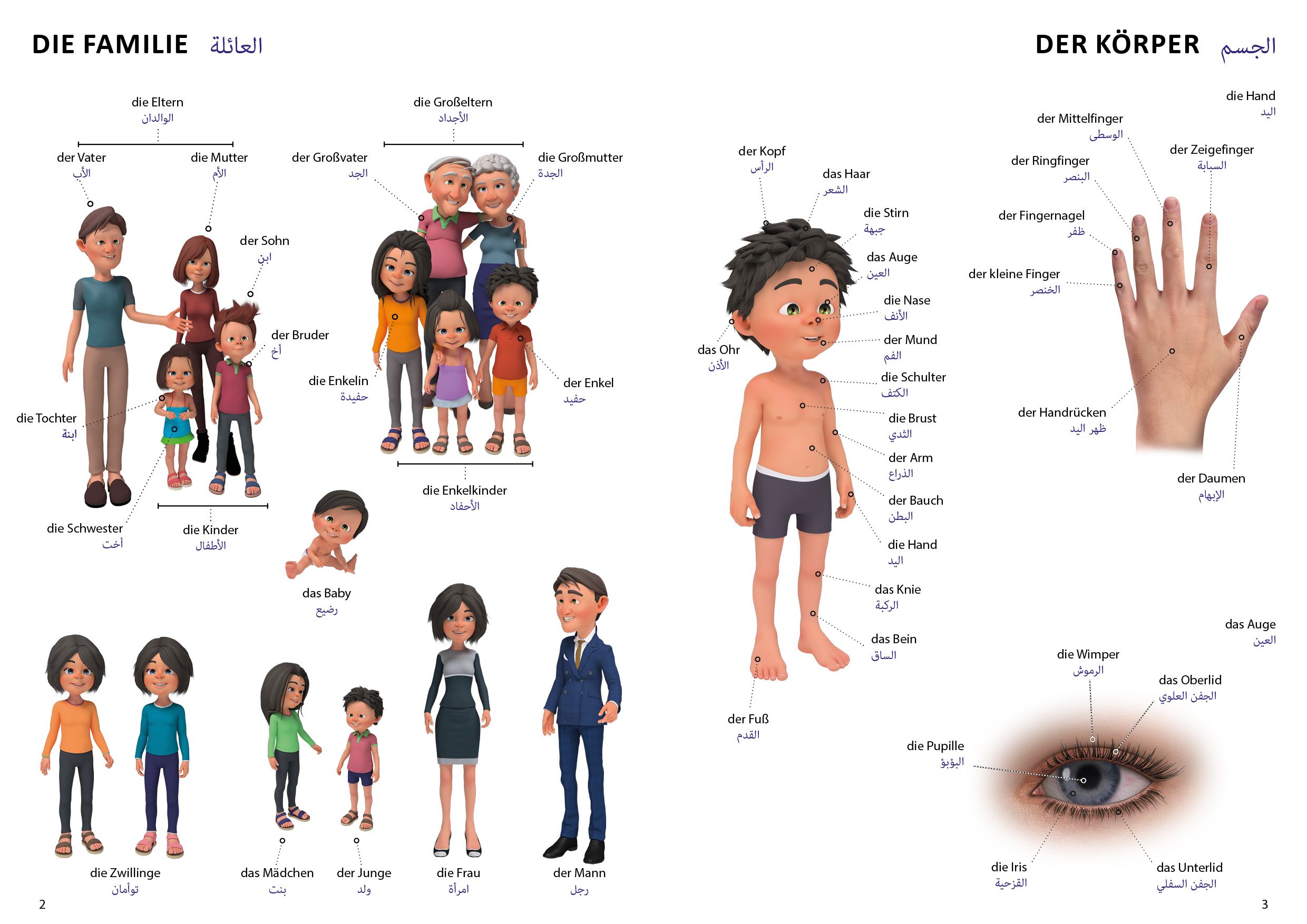 Beispielinhalt (Bild) Bildwörterbuch für Kinder und Eltern Arabisch-Deutsch
