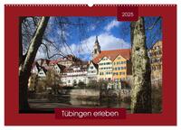 Vorderes Coverbild Tübingen erleben (Wandkalender 2025 DIN A2 quer), CALVENDO Monatskalender