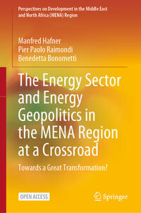 Vorderes Coverbild The Energy Sector and Energy Geopolitics in the MENA Region at a Crossroad