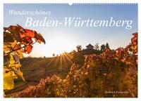 Vorderes Coverbild Wunderschönes Baden-Württemberg (Wandkalender 2025 DIN A2 quer), CALVENDO Monatskalender