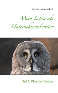Vorderes Coverbild Mein Leben als Unternehmensberater
