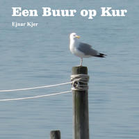 Vorderes Coverbild Een Buur op Kur