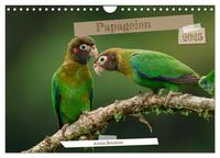 Vorderes Coverbild Papageien (Wandkalender 2025 DIN A4 quer), CALVENDO Monatskalender