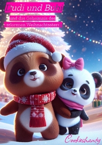 Vorderes Coverbild Dudi und Bubi und das Geheimnis des verlorenen Weihnachtssterns
