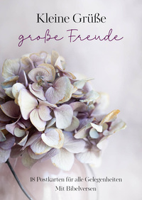 Vorderes Coverbild Kleine Grüße, große Freude – Postkartenset