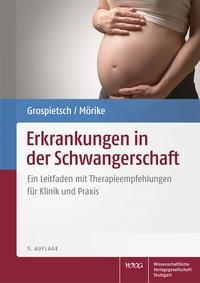 Vorderes Coverbild Erkrankungen in der Schwangerschaft