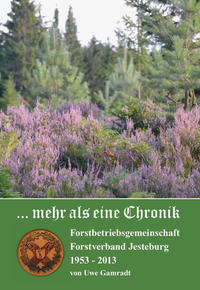 Vorderes Coverbild ... mehr als eine Chronik