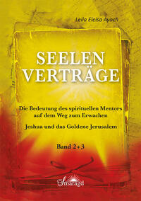 Vorderes Coverbild Seelenverträge Band 2 und 3