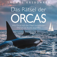 Vorderes Coverbild Das Rätsel der Orcas.