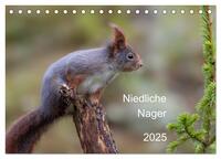 Vorderes Coverbild Niedliche Nager (Tischkalender 2025 DIN A5 quer), CALVENDO Monatskalender