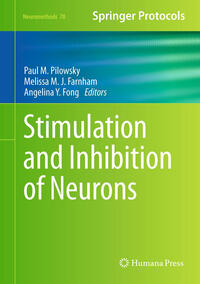 Vorderes Coverbild Stimulation and Inhibition of Neurons
