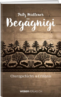 Vorderes Coverbild Begägnigi