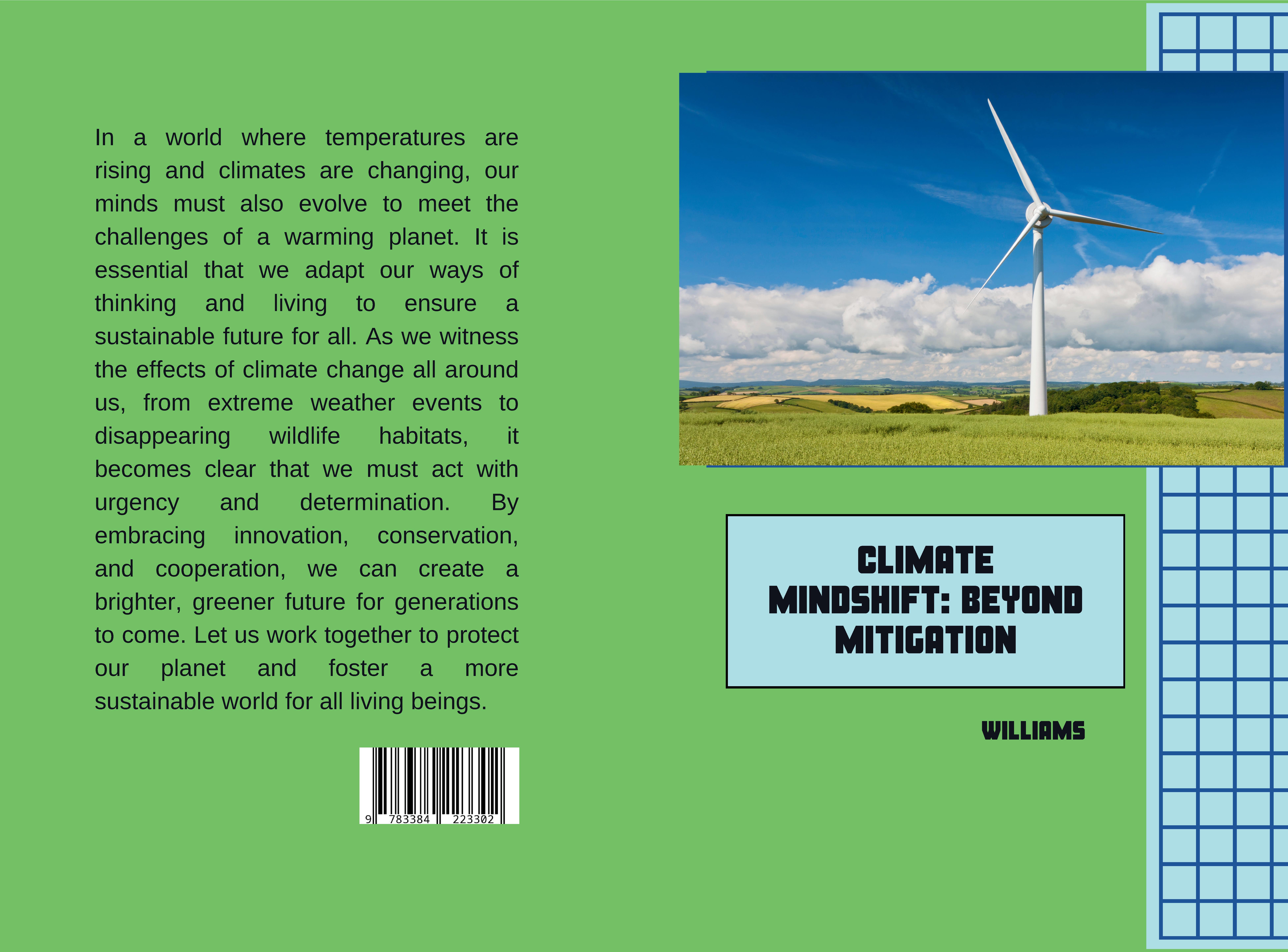 Gesamtes Coverbild Climate Mindshift: Beyond Mitigation