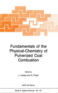 Vorderes Coverbild Fundamentals of the Physical-Chemistry of Pulverized Coal Combustion