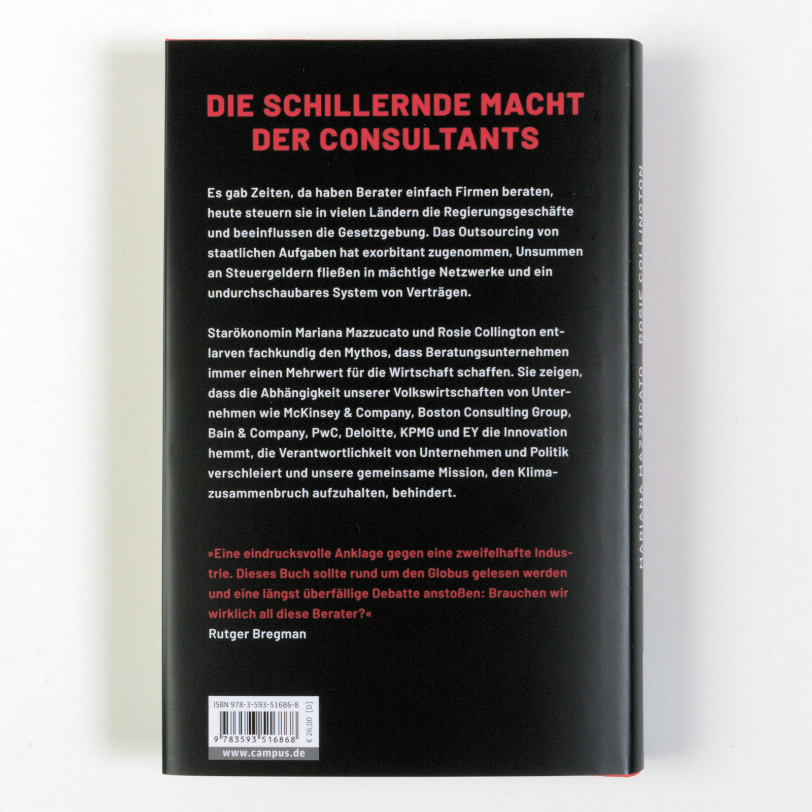 Rückseitencover Die große Consulting-Show