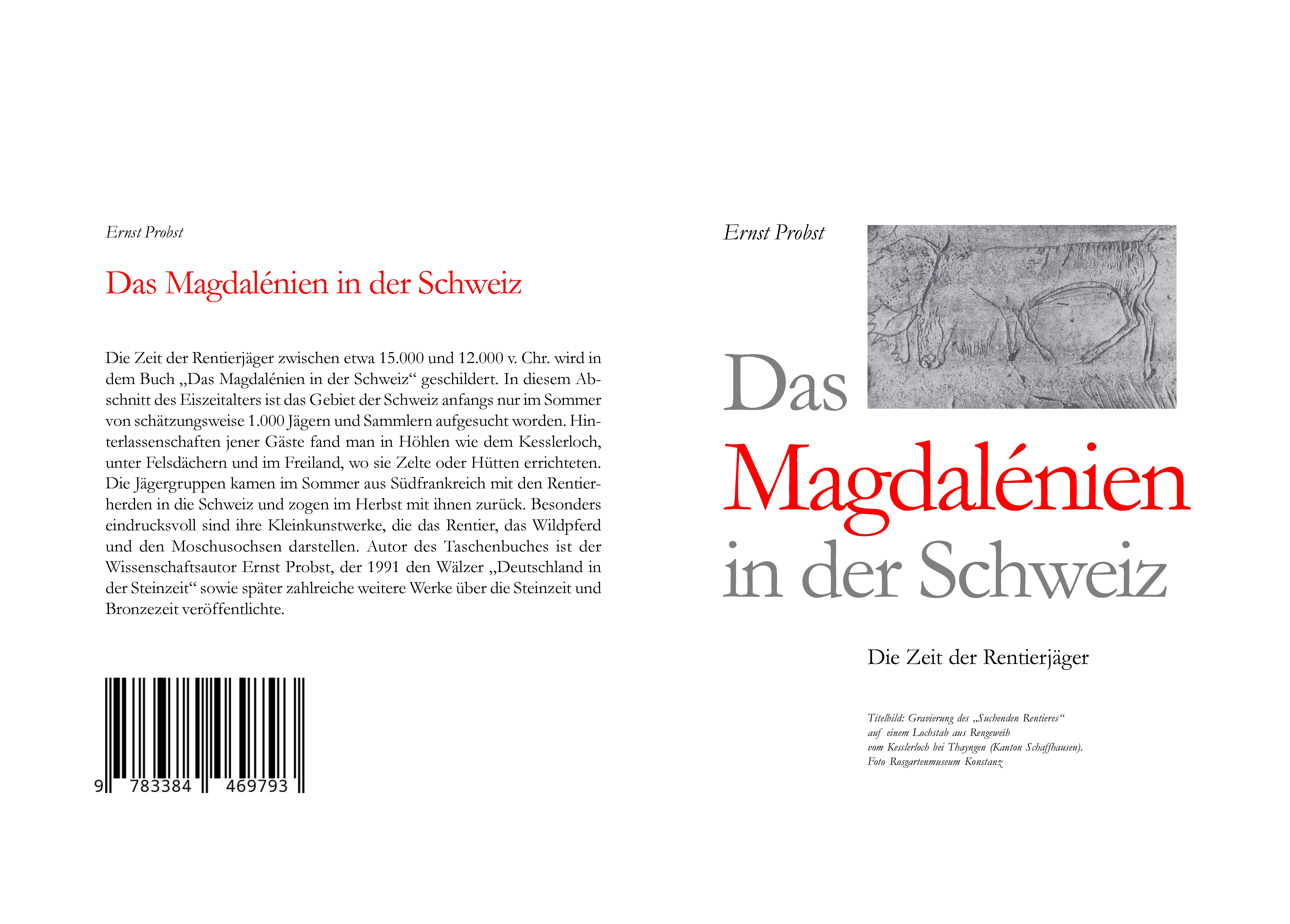 Gesamtes Coverbild Das Magdalénien in der Schweiz