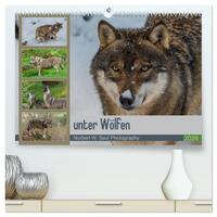 Vorderes Coverbild unter Wölfen (hochwertiger Premium Wandkalender 2026 DIN A2 quer), Kunstdruck in Hochglanz