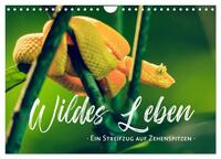 Vorderes Coverbild Wildes Leben - Ein Streifzug auf Zehenspitzen (Wandkalender 2025 DIN A4 quer), CALVENDO Monatskalender