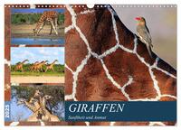 Vorderes Coverbild Giraffen - Sanftheit und Anmut (Wandkalender 2025 DIN A3 quer), CALVENDO Monatskalender