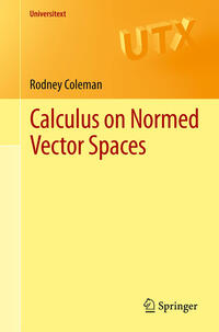 Vorderes Coverbild Calculus on Normed Vector Spaces