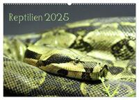Vorderes Coverbild Reptilien 2025 (Wandkalender 2025 DIN A2 quer), CALVENDO Monatskalender
