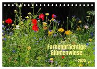 Vorderes Coverbild Farbenprächtige Blumenwiese (Tischkalender 2025 DIN A5 quer), CALVENDO Monatskalender