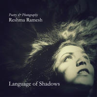 Vorderes Coverbild Language of Shadows