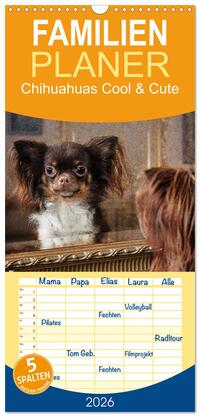 Vorderes Coverbild Familienplaner 2026 - Chihuahuas - Cool and Cute mit 5 Spalten (Wandkalender, 21 x 45 cm) CALVENDO