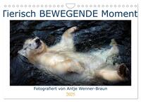 Vorderes Coverbild Tierisch BEWEGENDE Momente (Wandkalender 2025 DIN A4 quer), CALVENDO Monatskalender