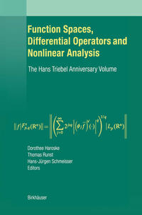 Vorderes Coverbild Function Spaces, Differential Operators and Nonlinear Analysis