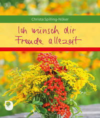 Vorderes Coverbild Ich wünsch dir Freude allezeit