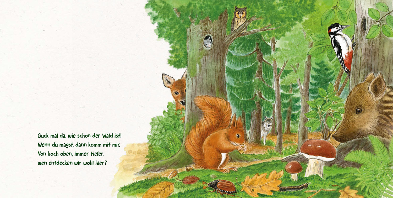 Beispielinhalt (Bild) Guck mal tief in den Wald