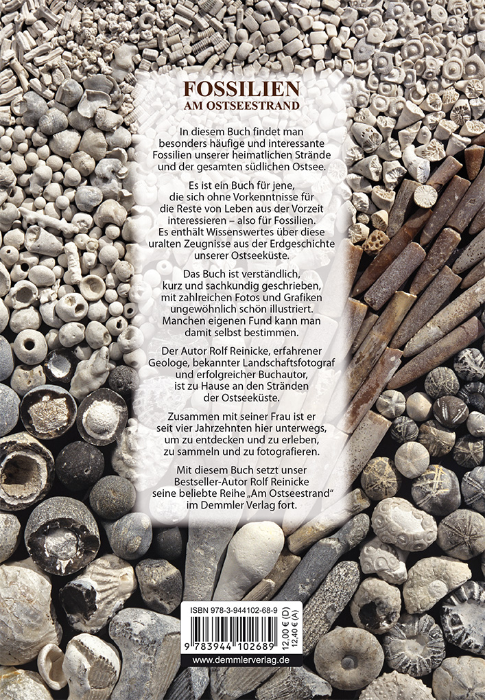 Produktlogo Fossilien am Ostseestrand