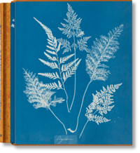 Vorderes Coverbild Anna Atkins. Cyanotypes