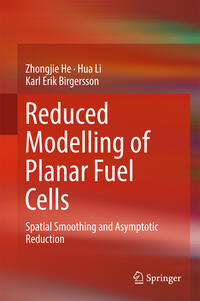 Vorderes Coverbild Reduced Modelling of Planar Fuel Cells
