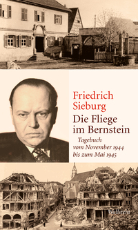 Vorderes Coverbild Die Fliege im Bernstein