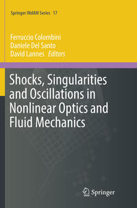 Vorderes Coverbild Shocks, Singularities and Oscillations in Nonlinear Optics and Fluid Mechanics