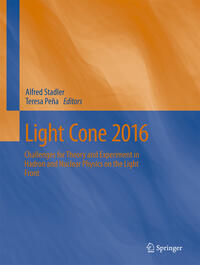 Vorderes Coverbild Light Cone 2016