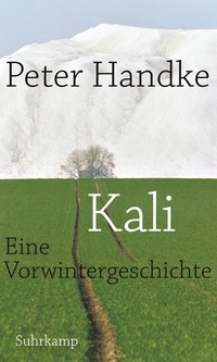 Vorderes Coverbild Kali