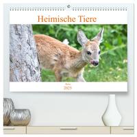Vorderes Coverbild Heimische Tiere - Rehe (hochwertiger Premium Wandkalender 2025 DIN A2 quer), Kunstdruck in Hochglanz