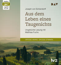 Vorderes Coverbild Aus dem Leben eines Taugenichts