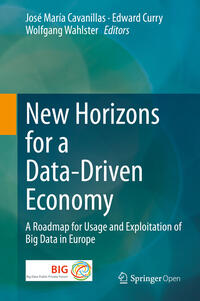 Vorderes Coverbild New Horizons for a Data-Driven Economy