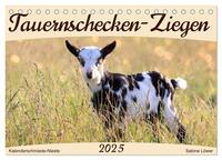 Vorderes Coverbild Tauernschecken-Ziegen (Tischkalender 2025 DIN A5 quer), CALVENDO Monatskalender