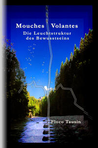 Vorderes Coverbild Mouches Volantes