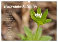 Vorderes Coverbild Heilkräuterkalender (Wandkalender 2025 DIN A3 quer), CALVENDO Monatskalender