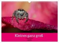 Vorderes Coverbild Kleines ganz groß - Makrofotografie (Wandkalender 2025 DIN A3 quer), CALVENDO Monatskalender